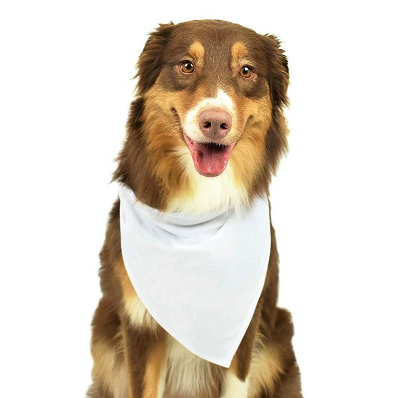 30pcs White Polyester Blank Do - đánh giá và giá Bandana Blank White